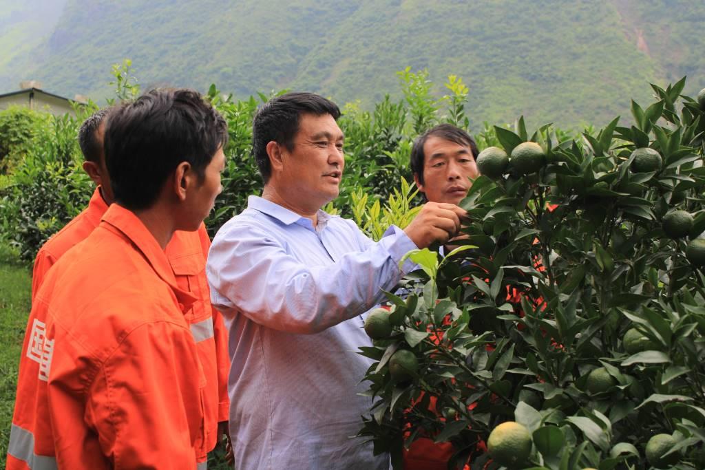 1584345965691657.jpg 1584345965691657.jpg